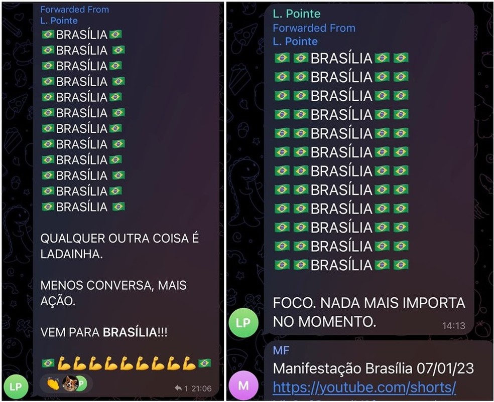 Mensagens enviadas em grupo bolsonarista no Telegram em 7 de janeiro de 2023 — Foto: Reprodução