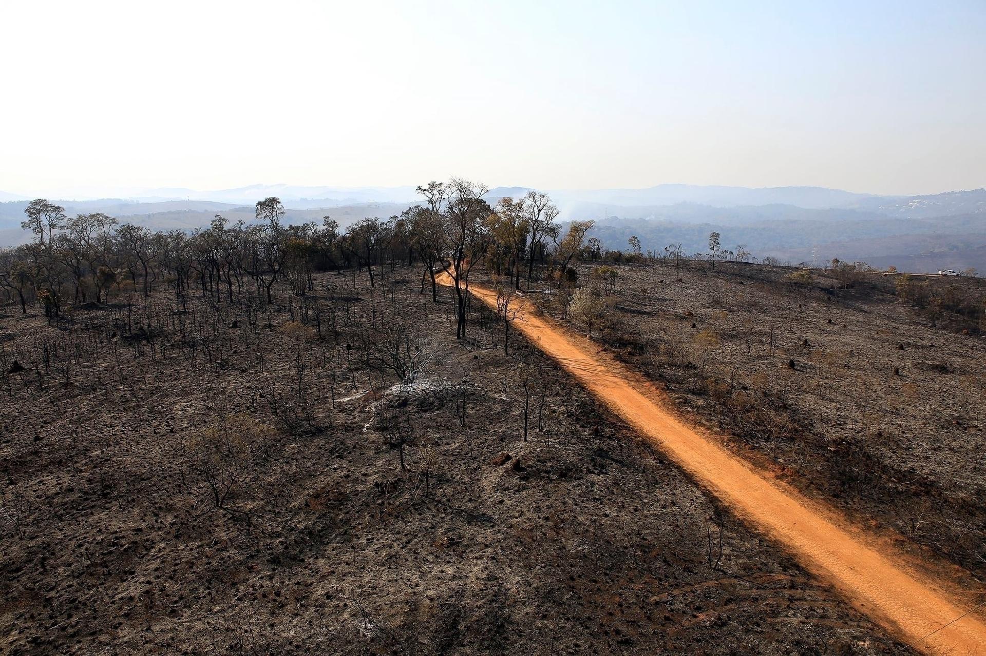Segundo as autoridades, a devastação já tomou conta de 65% da área total - Divulgação / Prefeitura de Franco da Rocha