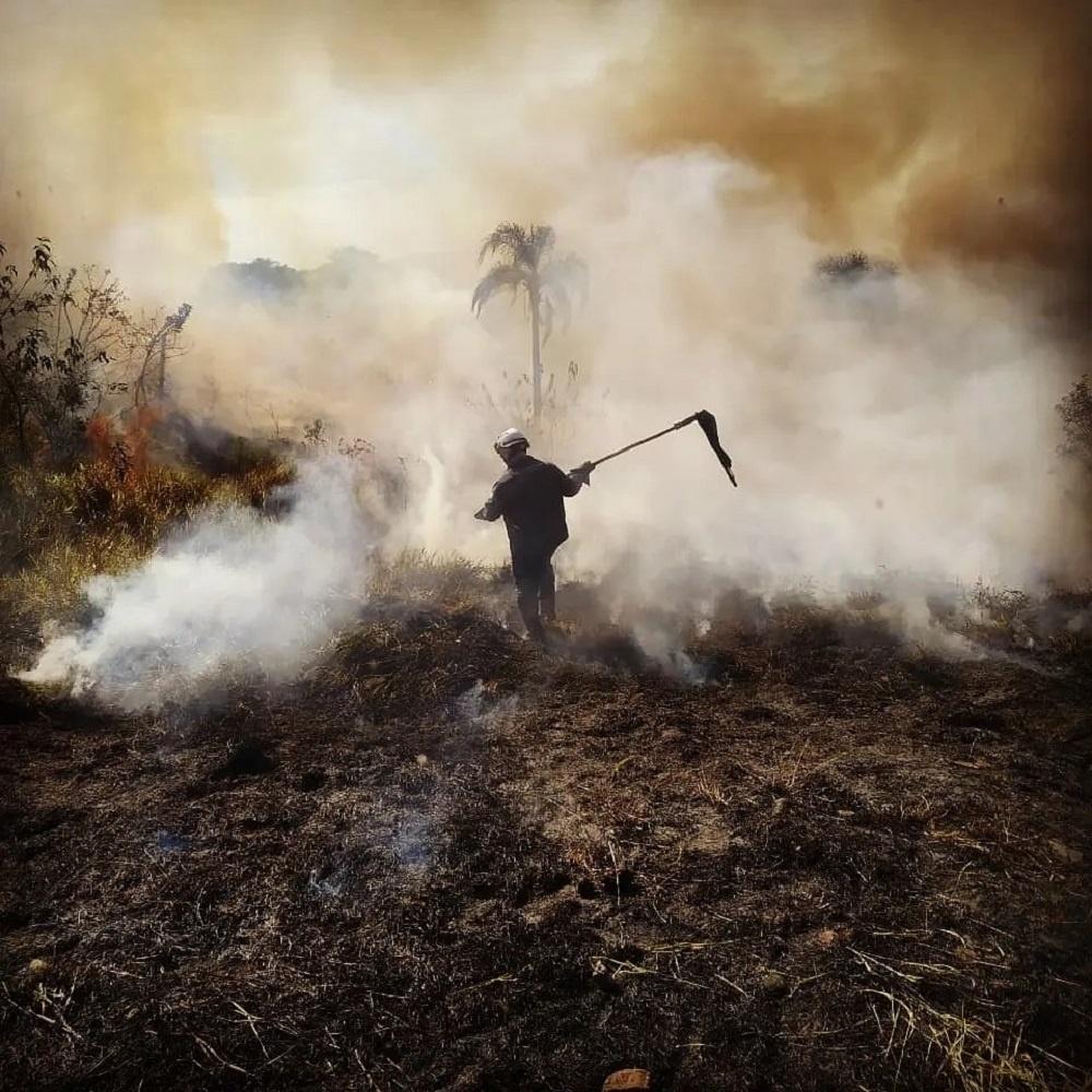Incêndio fez chuva de fuligem cair pela Região Metropolitana de São Paulo - Divulgação / Prefeitura de Franco da Rocha