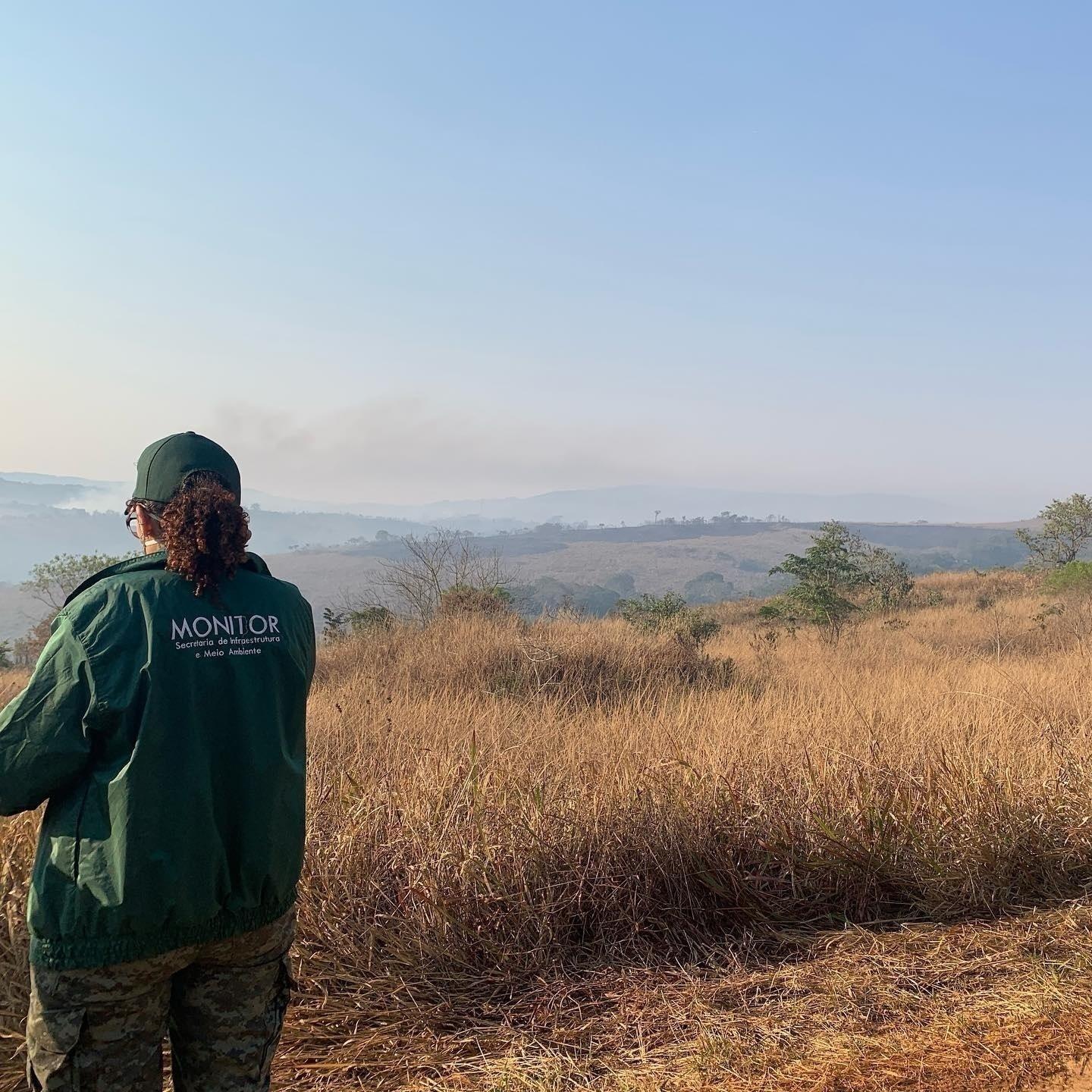 Equipe local tenta apagar os focos - Divulgação / Prefeitura de Franco da Rocha