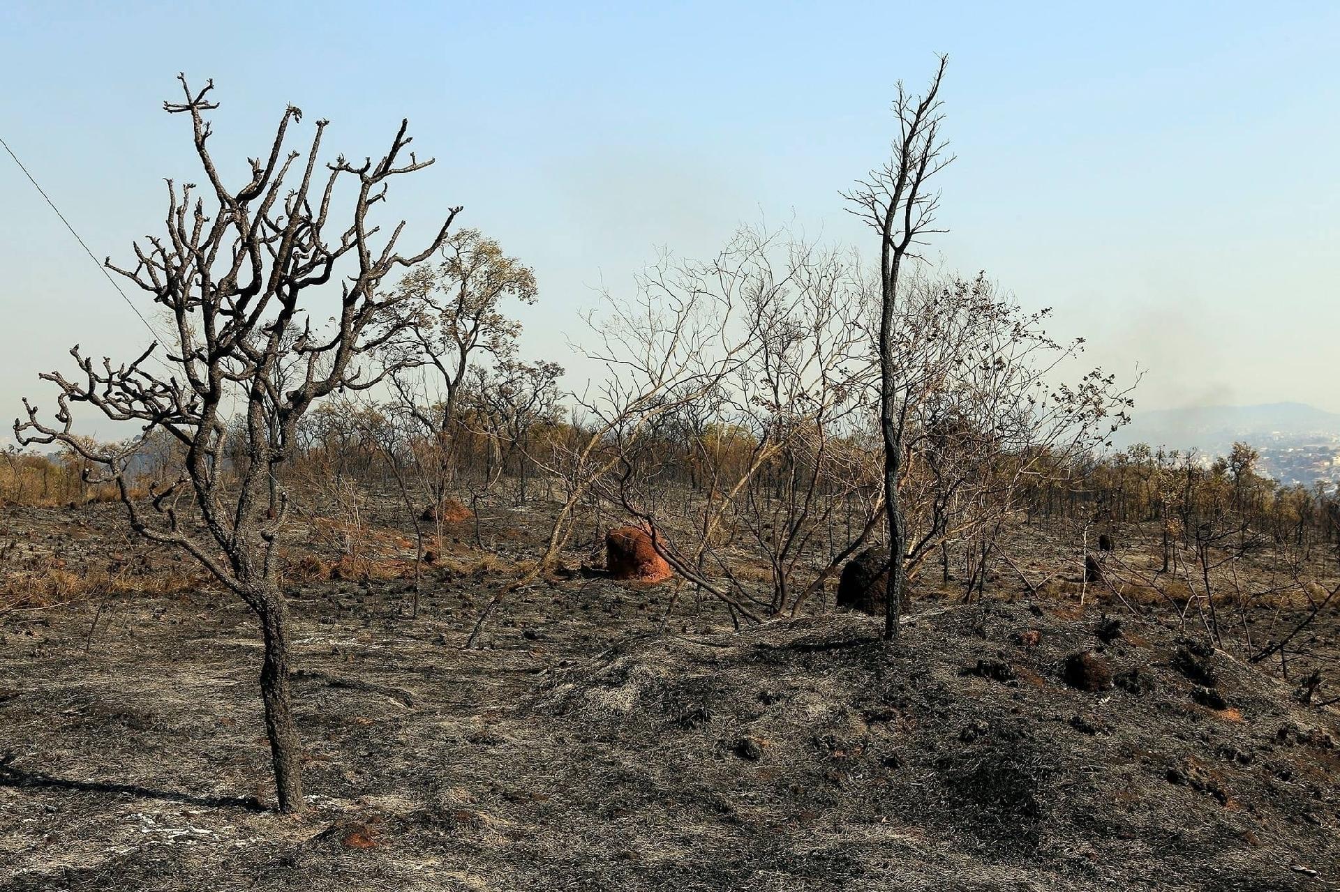 Fogo foi totalmente extinto na manhã de segunda-feira (23), mas ainda com focos de incêndio - Divulgação / Prefeitura de Franco da Rocha