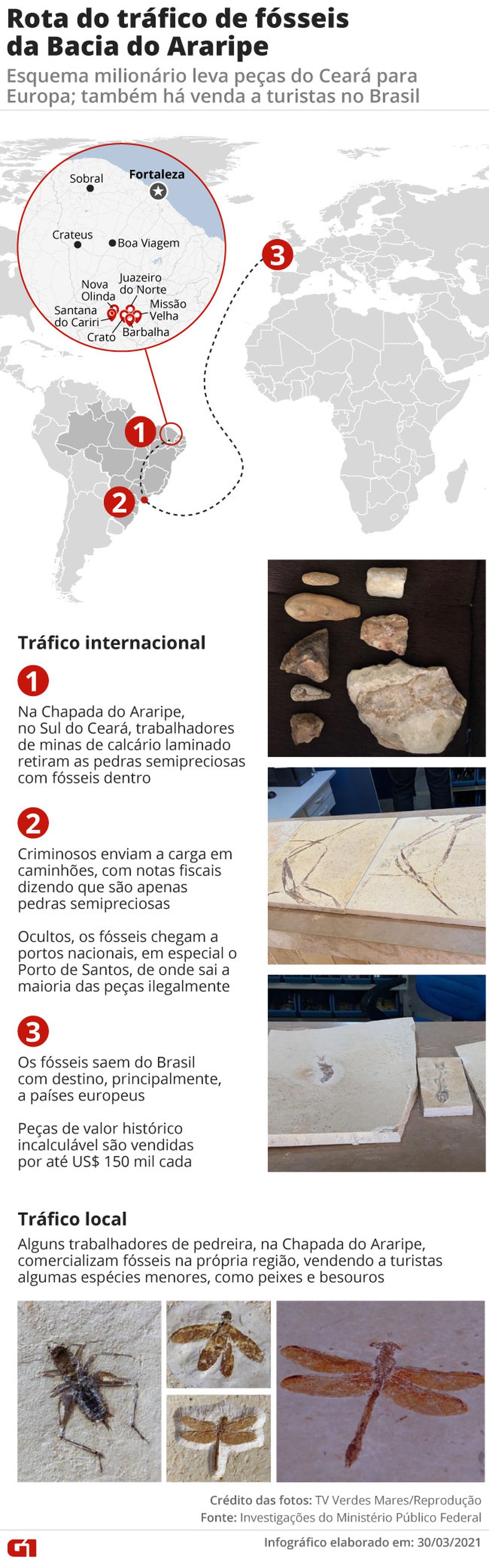 Tráfico de fósseis no Ceará — Foto: Arte/G1
