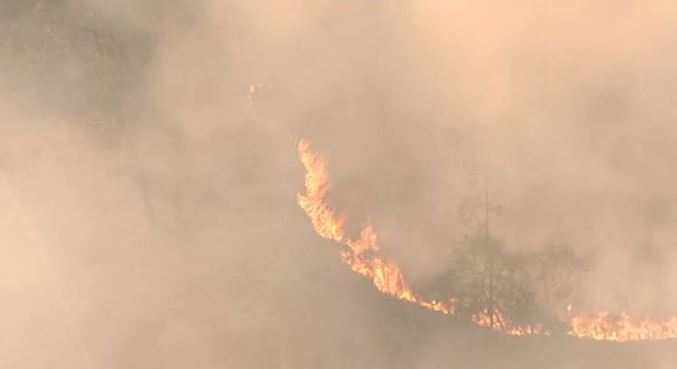Chamas atingem parque estadual desde a manhã deste domingo (22)