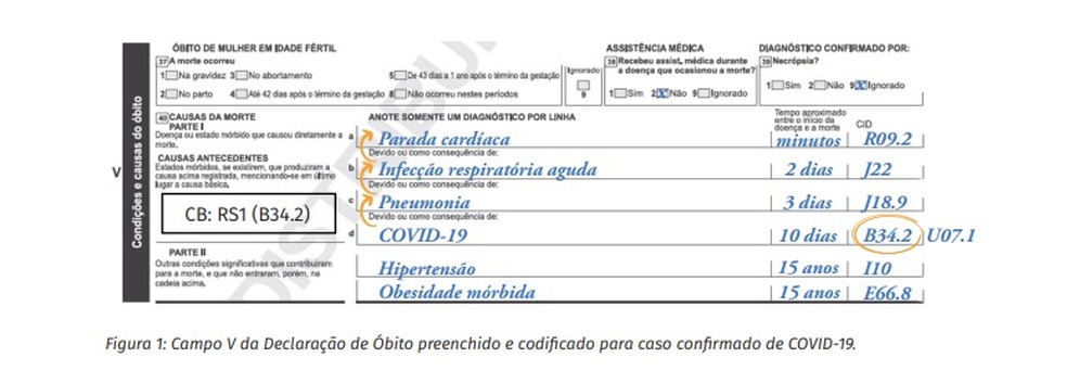 Exemplo de declaração de óbito de Covid-19, segundo o Ministério da Saúde — Foto: Ministério da Saúde