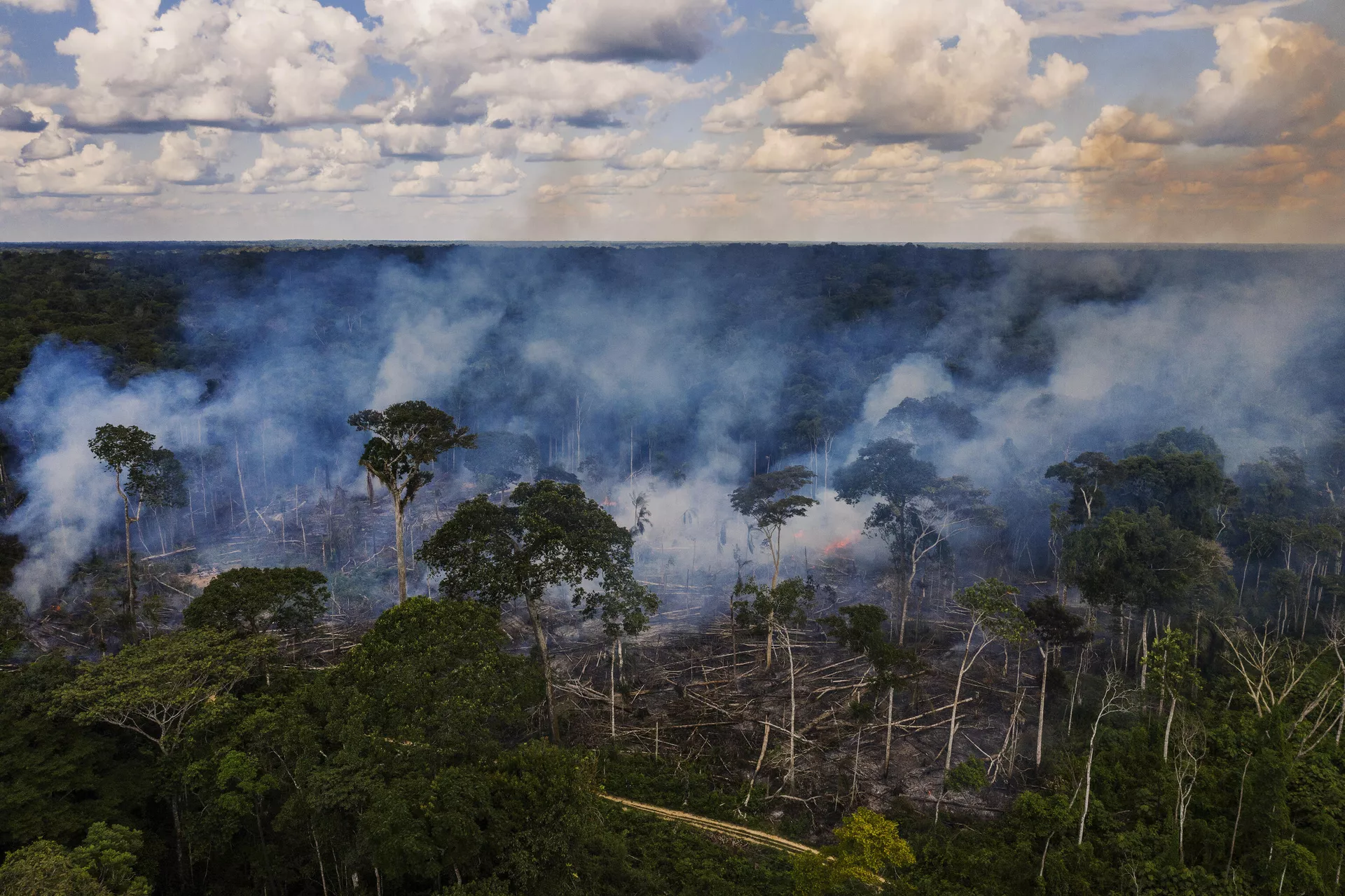 Queimada em área desmatada no seringal Albracia, dentro da Reserva Extrativista Chico Mendes, em Xapuri - Sputnik Brasil, 1920, 18.11.2022