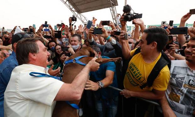 Bolsonaro segura um cachorro em meio a uma aglomeração em Sinop (MT) Foto: Alan Santos / PR
