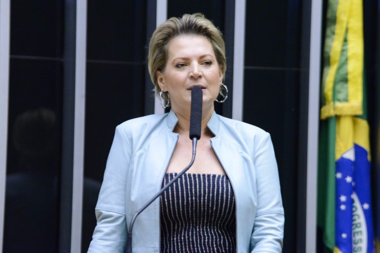Discussão e votação de propostas. Dep. Joice Hossemann PSDB-SP