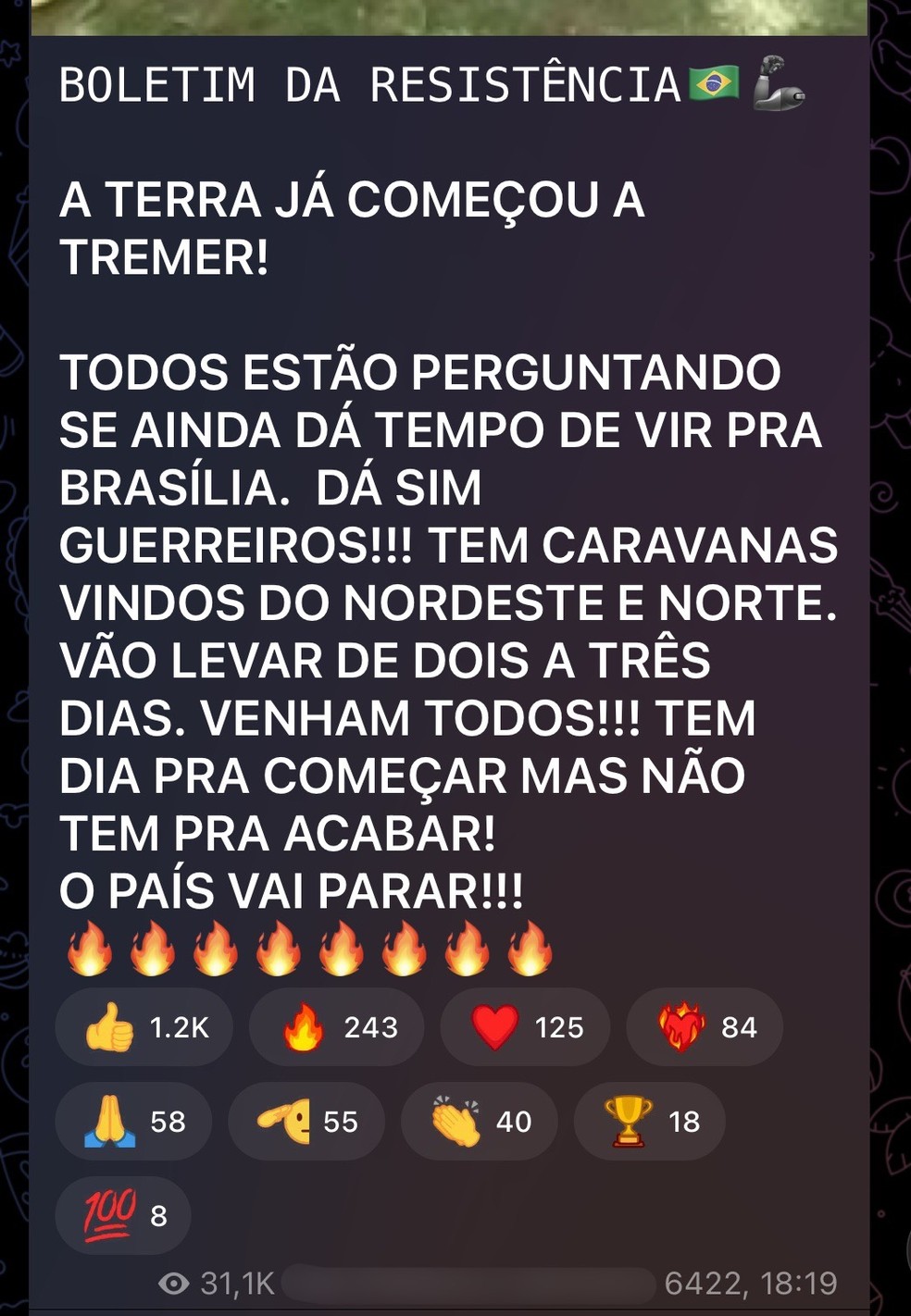 Mensagem enviada em grupo bolsonarista no Telegram em janeiro de 2023 — Foto: Reprodução