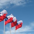 Chile_flags_in_Puerto_Montt