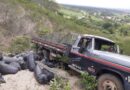 Após motorista perder controle caminhão tomba na ladeira de Serra da Raíz