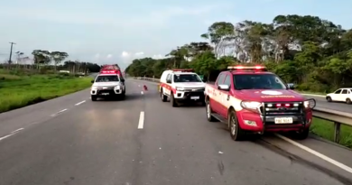 Motorista perde a vida em colisão entre caminhonete e caminhão na BR-230