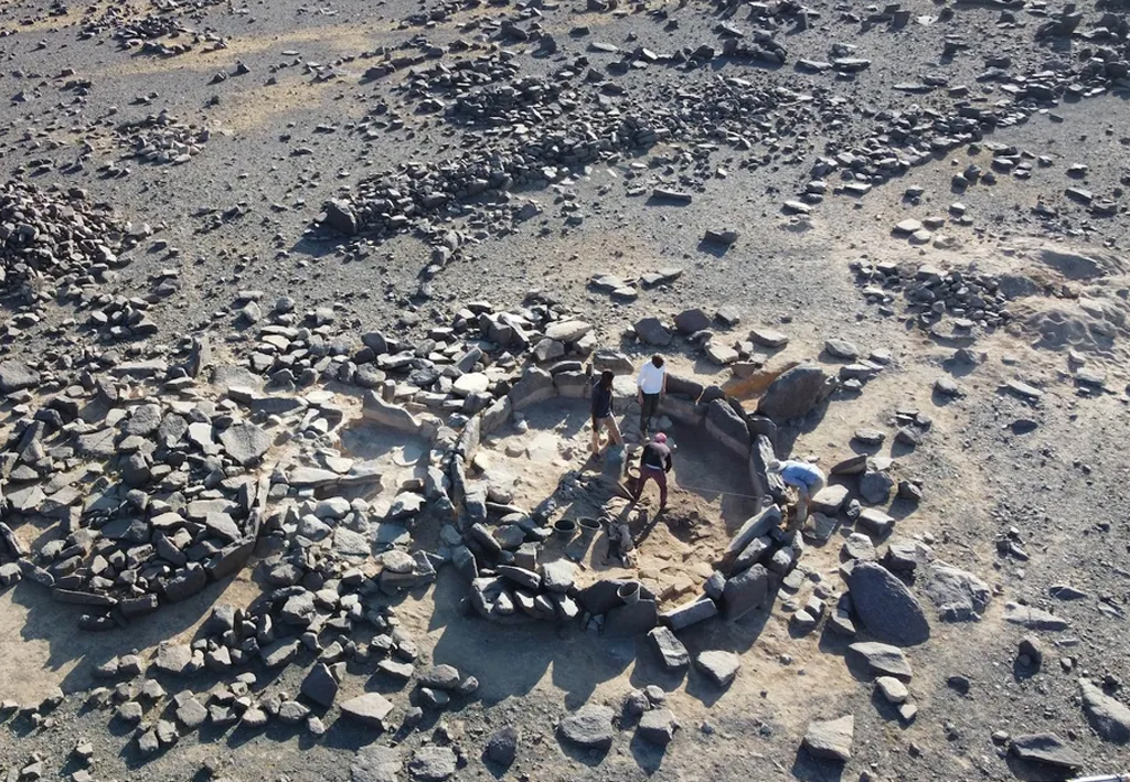 Pessoas escavando círculos de pedra.