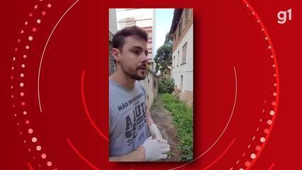 ONG resgata cães com maus-tratos de casarão em bairro nobre de SP